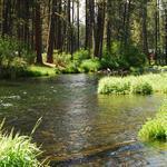 Metolius River