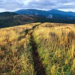 Carvers Gap Trailhead