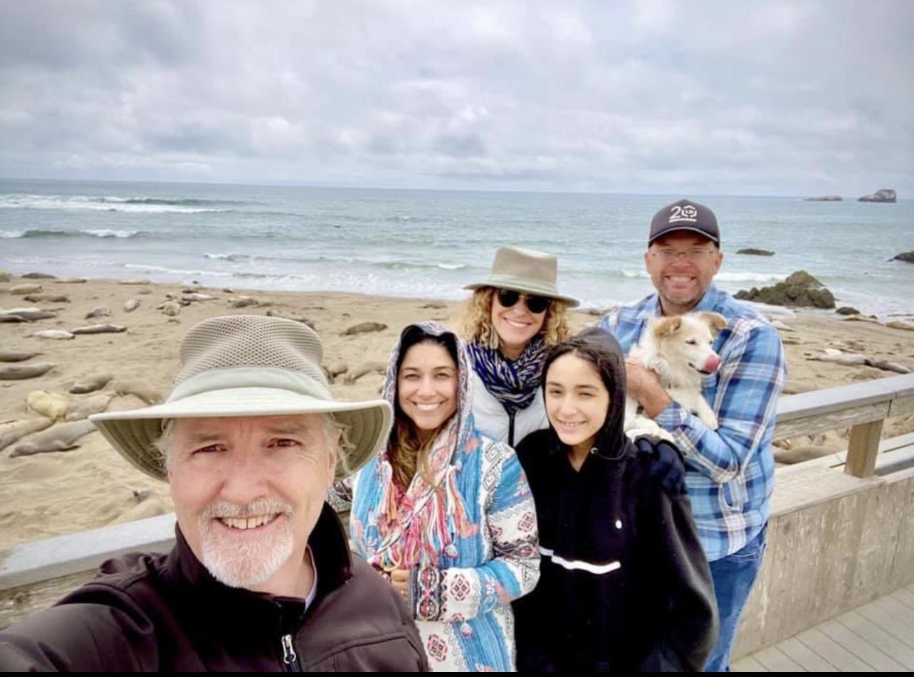 Visiting the elephant seals near San Simeon