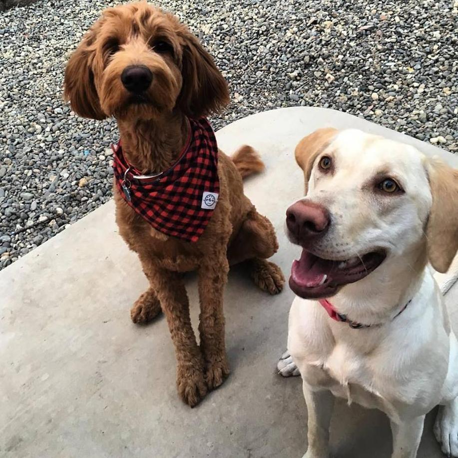 Gilbert and Marley best friends 'til the end <3