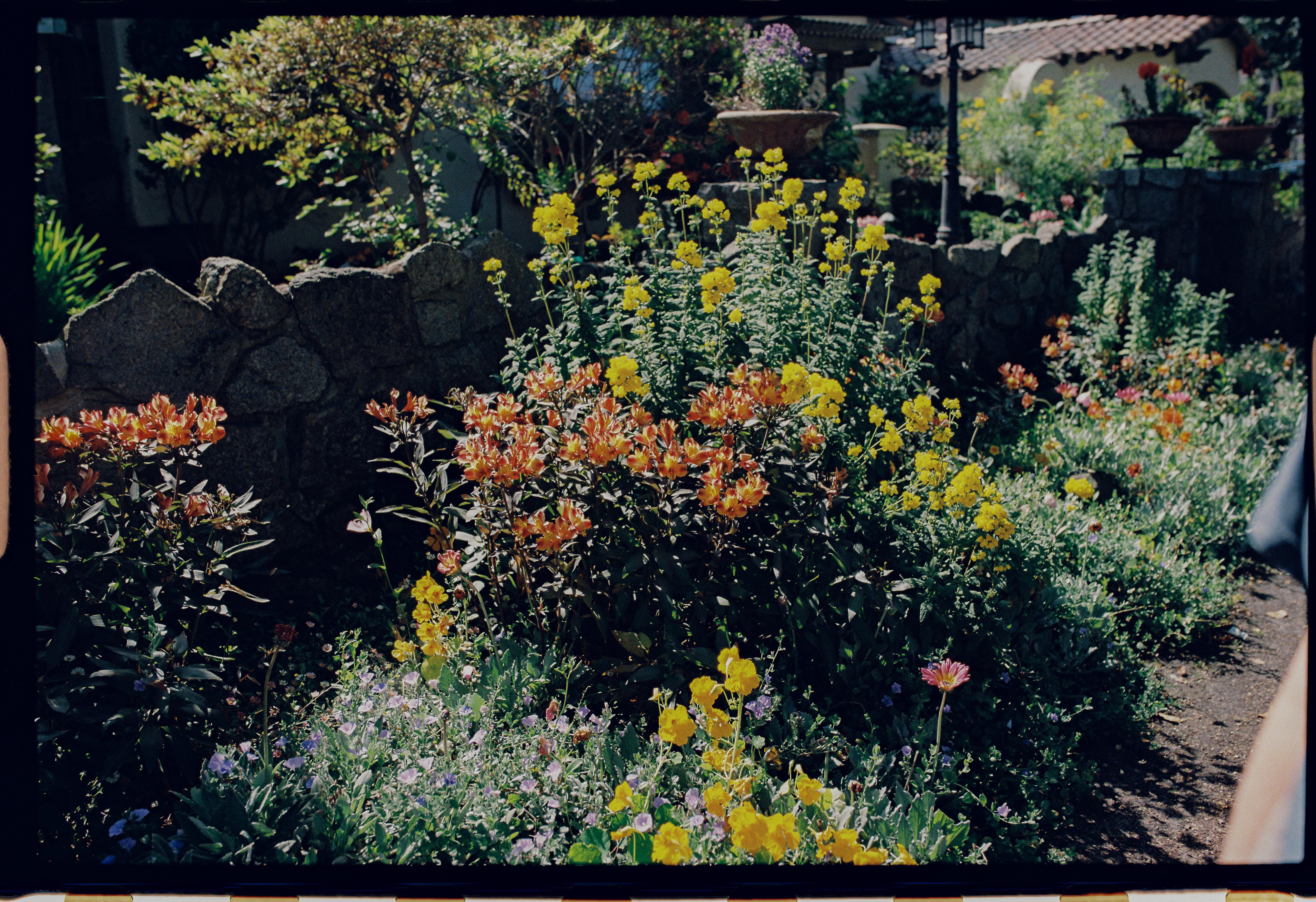 The Wedding Website of Tess Gearhart and Kate McKee