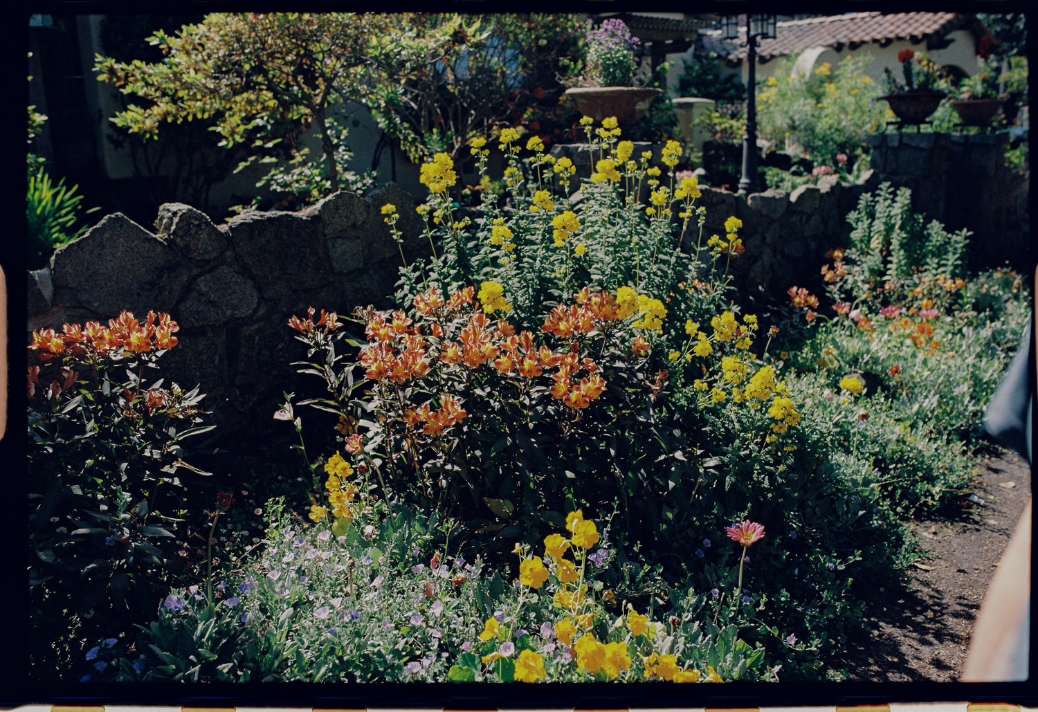 The Wedding Website of Tess Gearhart and Kate McKee