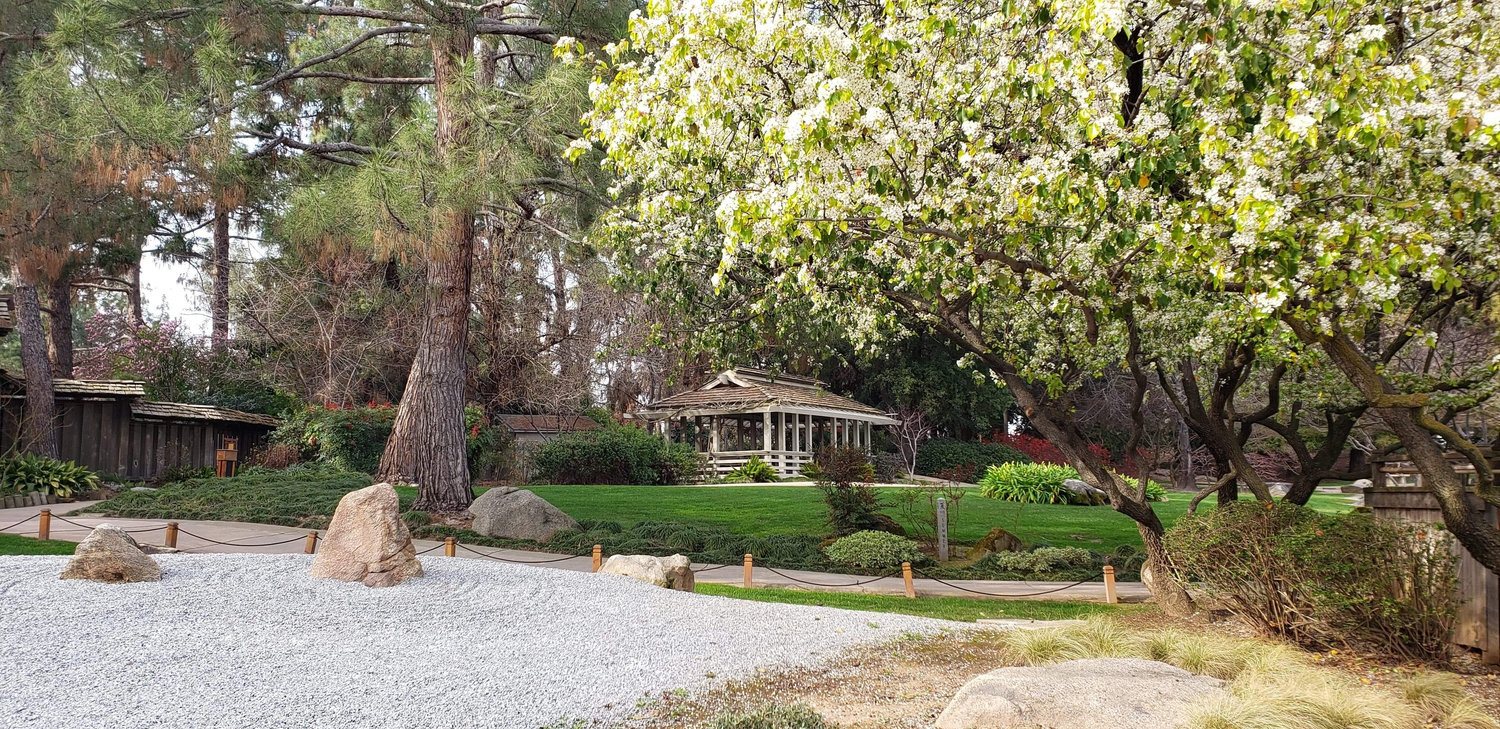The Wedding Website of Sandra Arévalo and Ricardo Torres