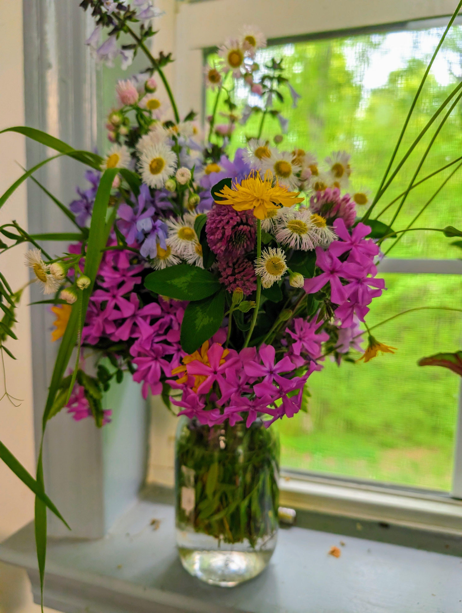 The Wedding Website of Alysha Grevious and Ernest Doty
