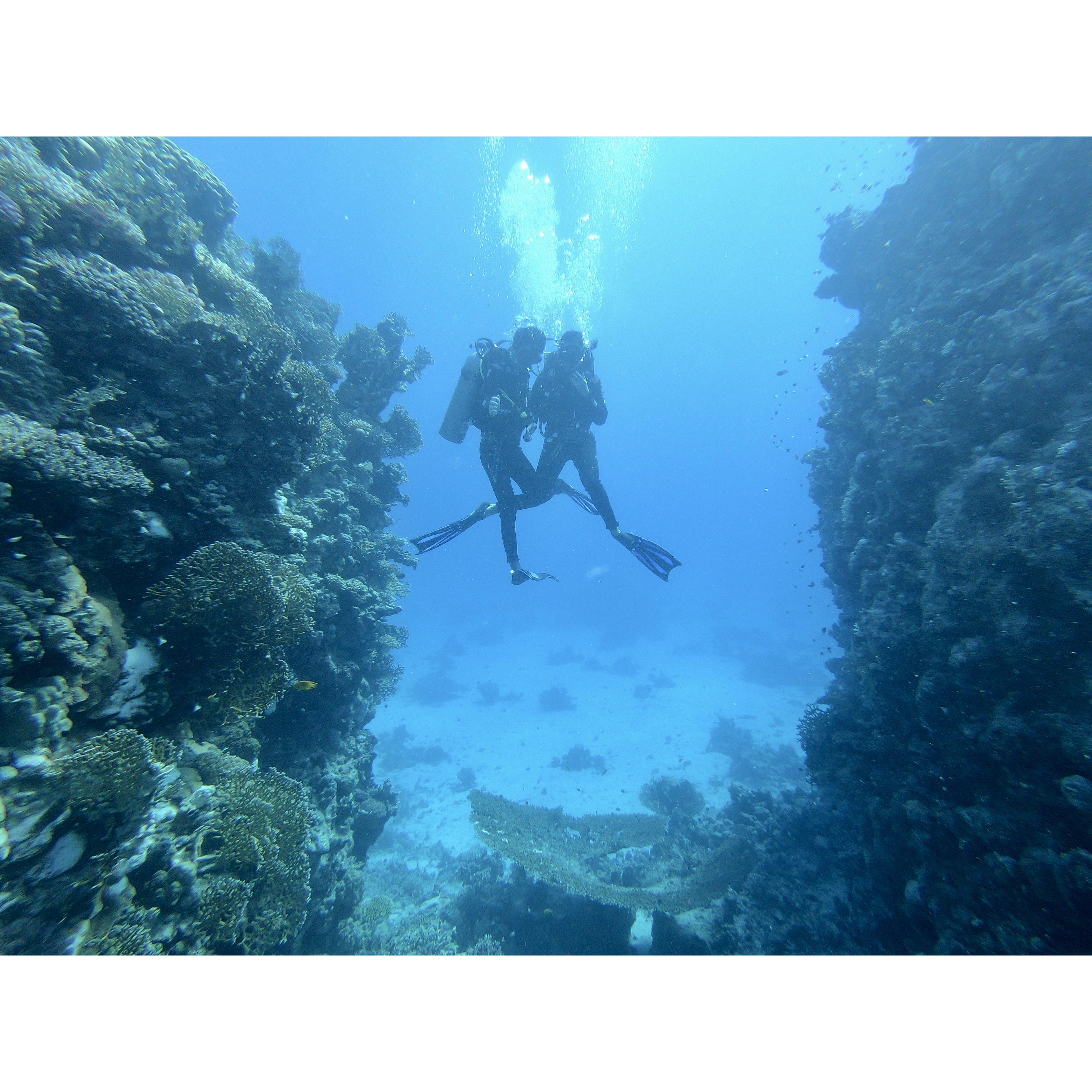 Scuba diving in the Red Sea 2024