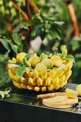 Banana Vessel
