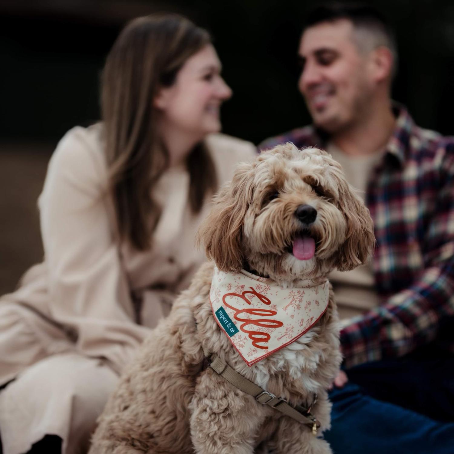Ashley's dog Ella Belle steeling the spot light of our fall pictures