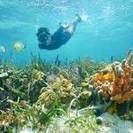Snorkeling