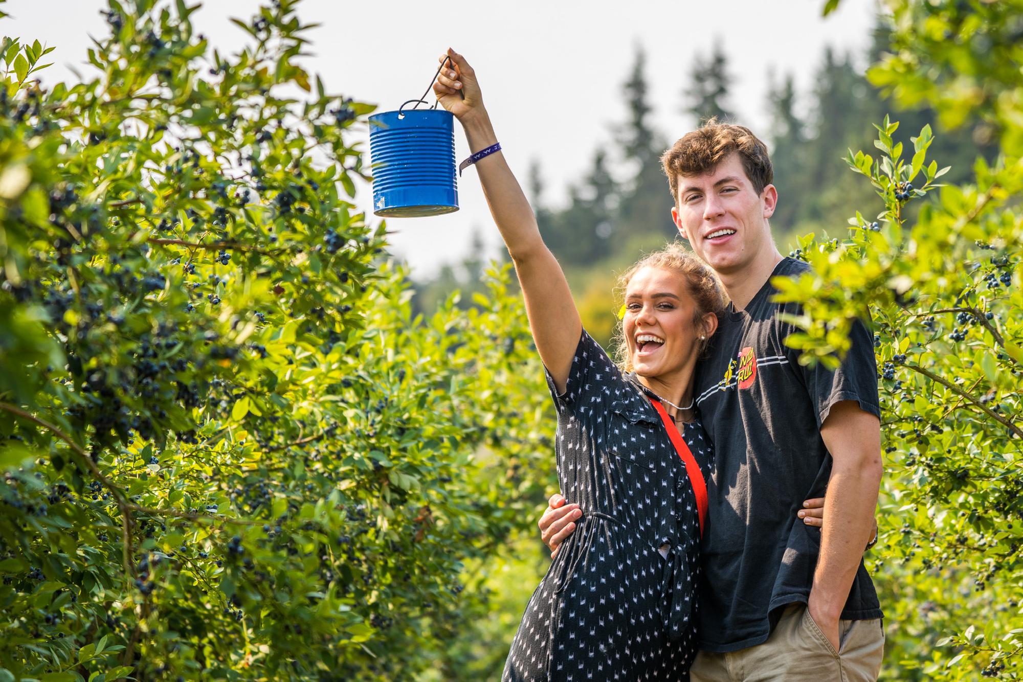 Visiting Jordan's sister Alexis in Washington and picking some blueberries!