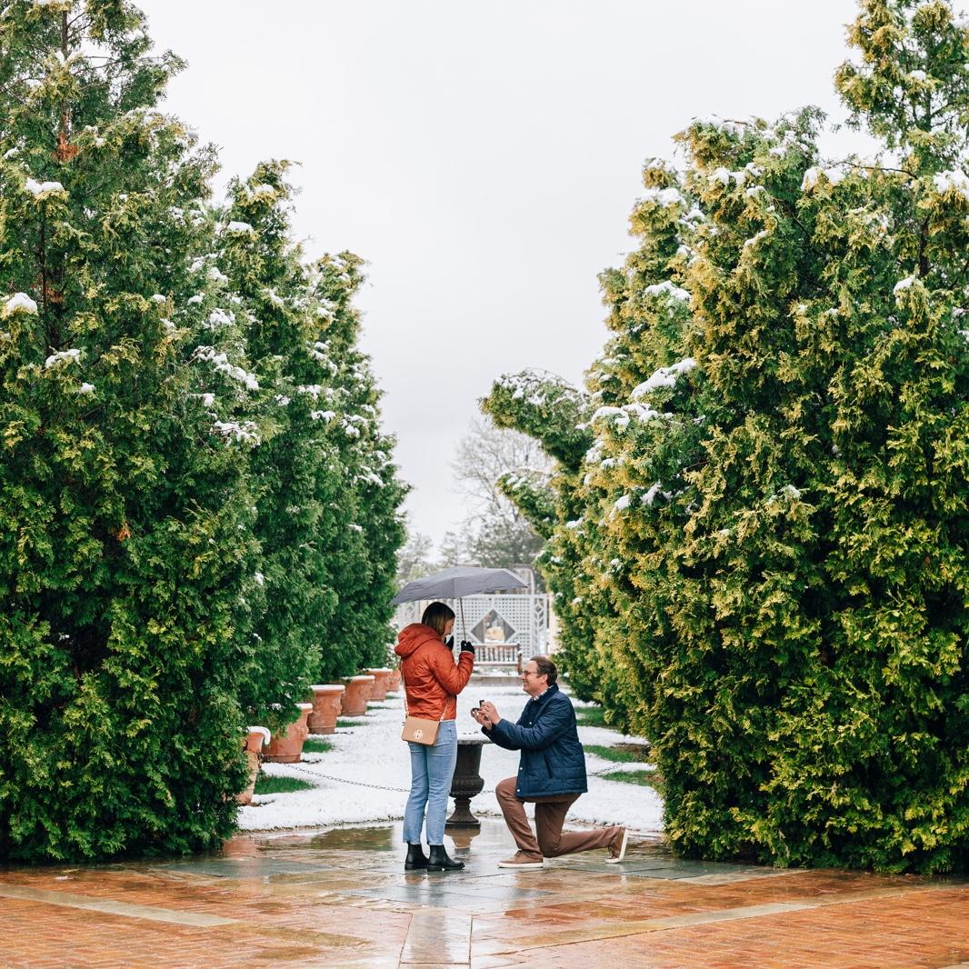 Beautiful Proposal at the Denver Botanic Gardens!