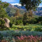 Santa Barbara Botanic Garden