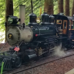Redwood Valley Railway (Tilden Steam Train)