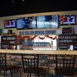 Blue Stallion Brewing Co.