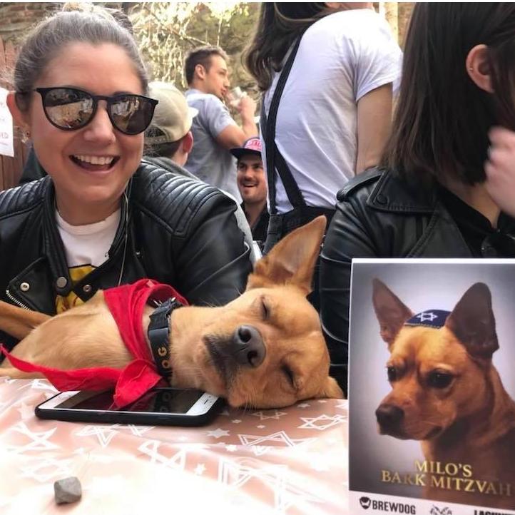 Milo's Bark Mitzvah - NY, NY