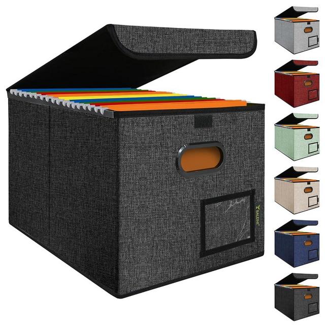 BALEINE File Organizer Box with Lid, Collapsible File Folder Organizer with Plastic Slide, Hanging File Folder Box for Office Document Storage (1 Pack, Black)