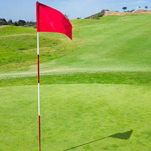 Golf Clubs