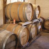 Troddenvale Cidery