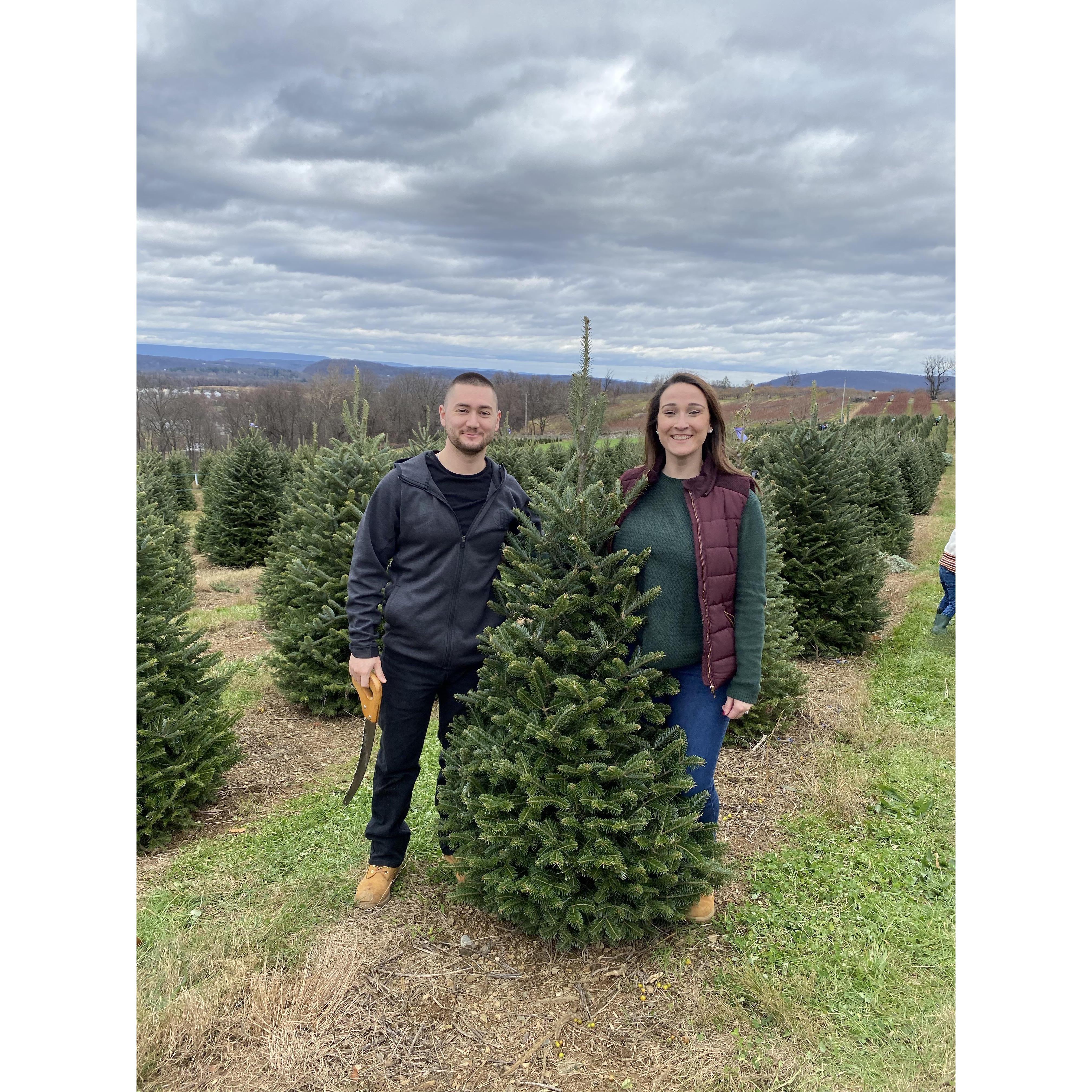 Our 1st Christmas Tree engaged! December 2020