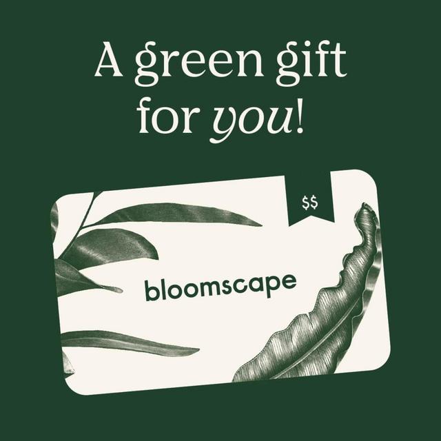 Bloomscape Plant Gift Card