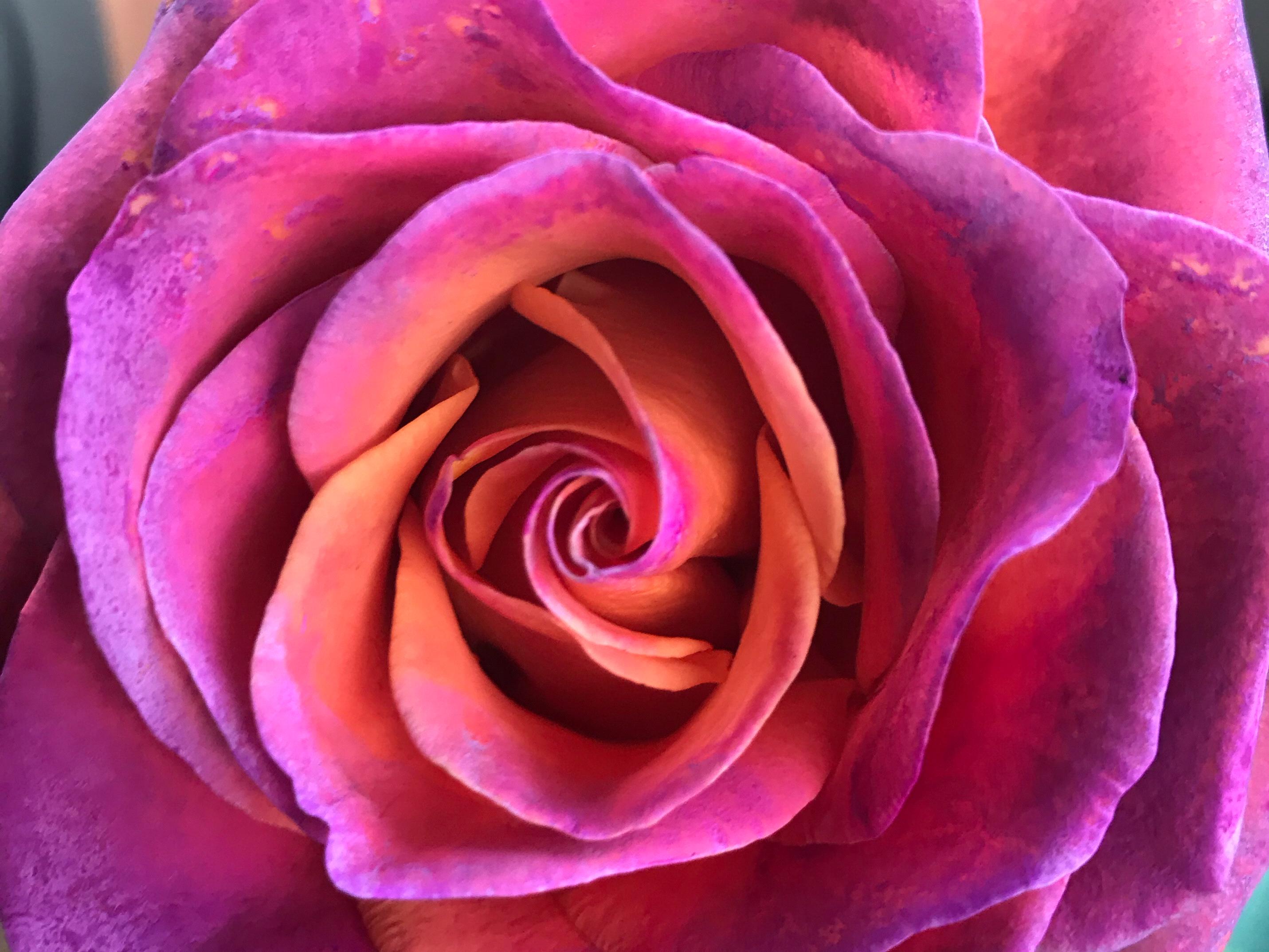 The Wedding Website of Allyson Brott and Richard Arbella