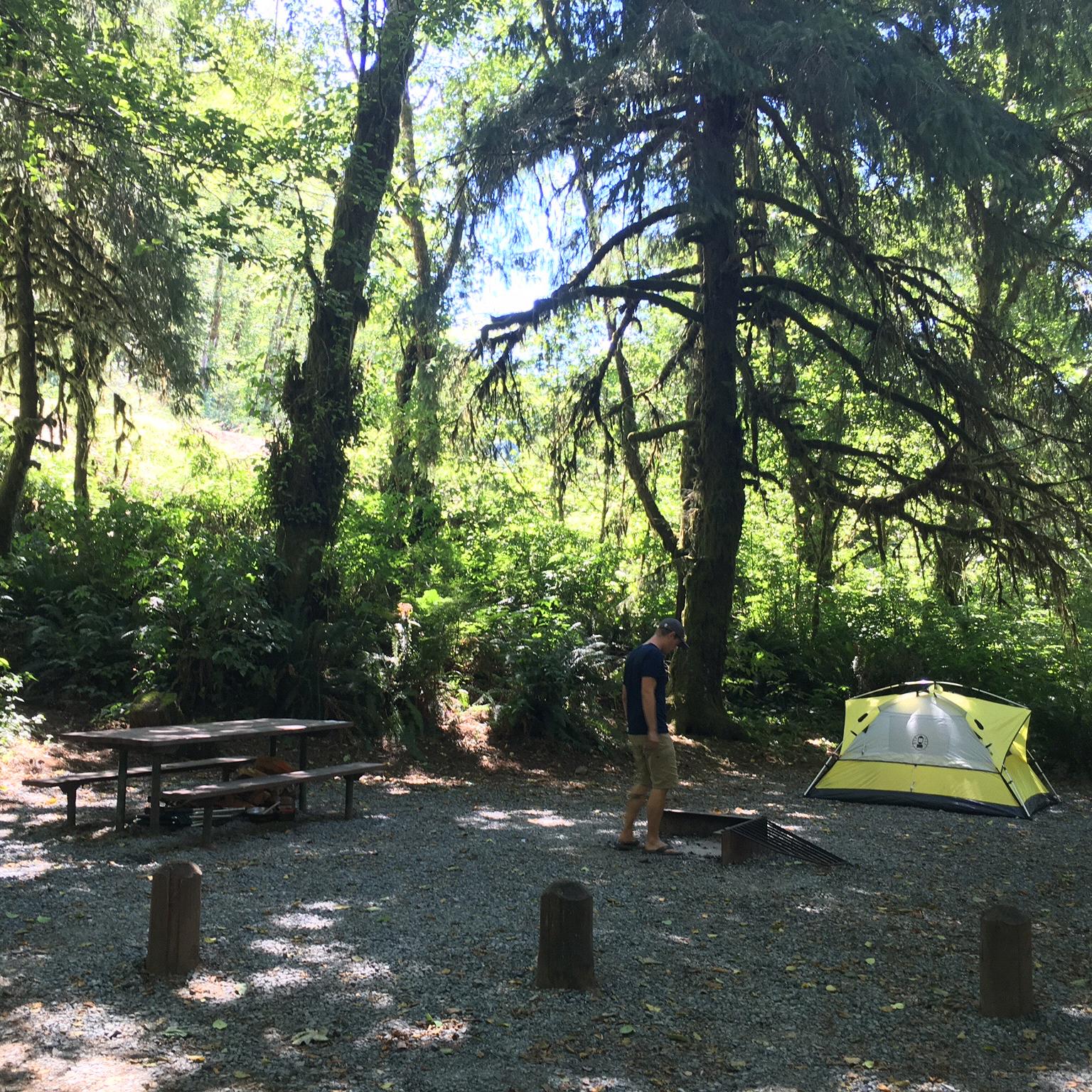 Camping and Lodging