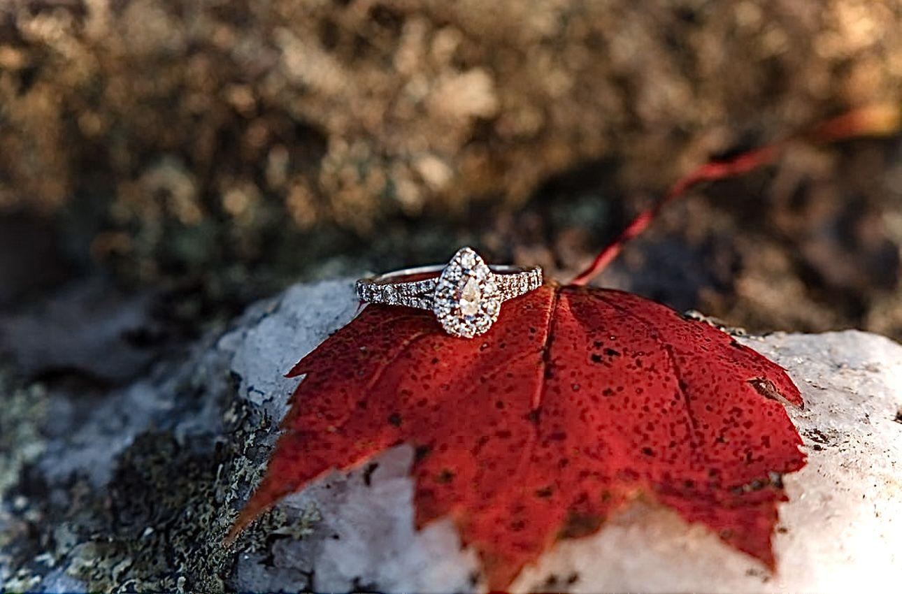 The Wedding Website of McKayla Dillon and Christopher Comer