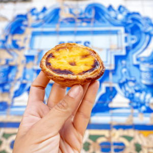 Pastel De Nata Emergency Fund