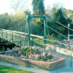 Swinging Bridge