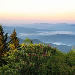 Smoky Mountain Hiking Trails