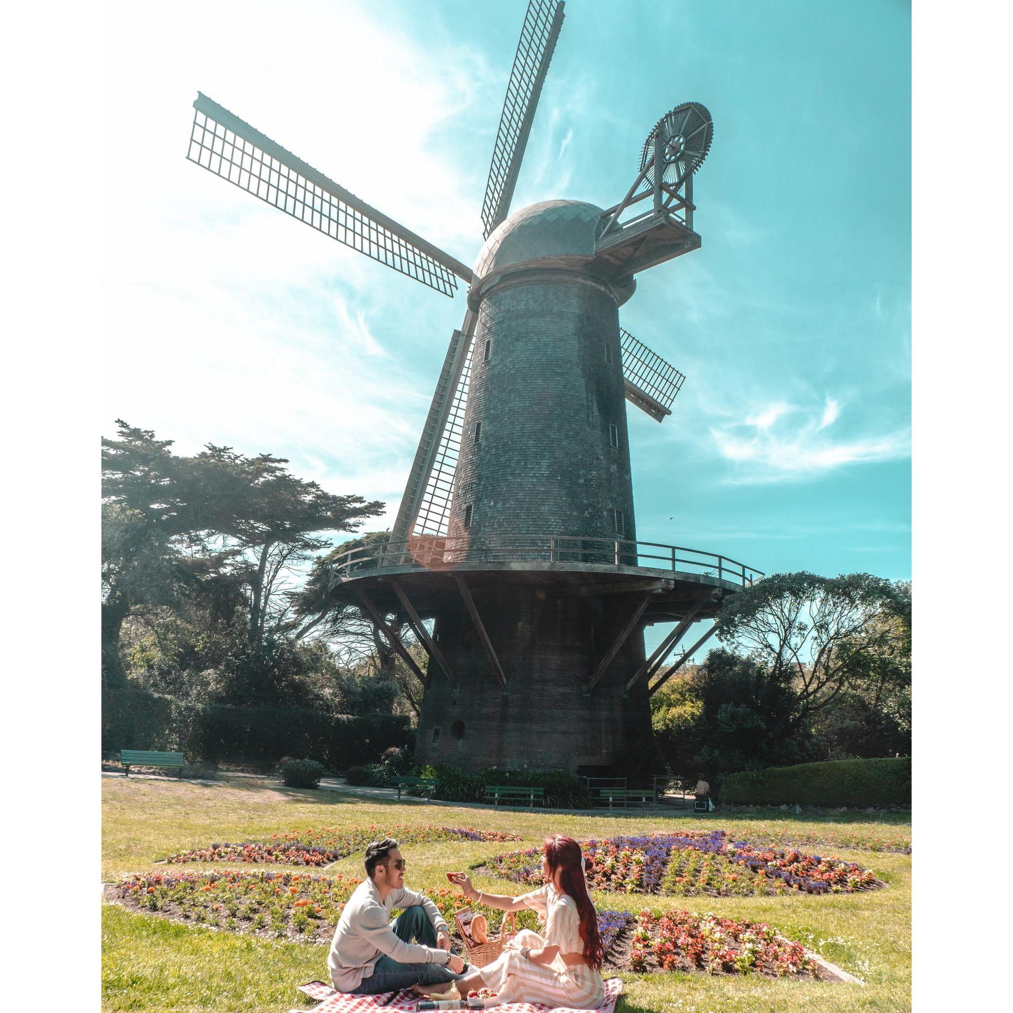 Cat's favorite thing to do in the summer, endless picnics.
