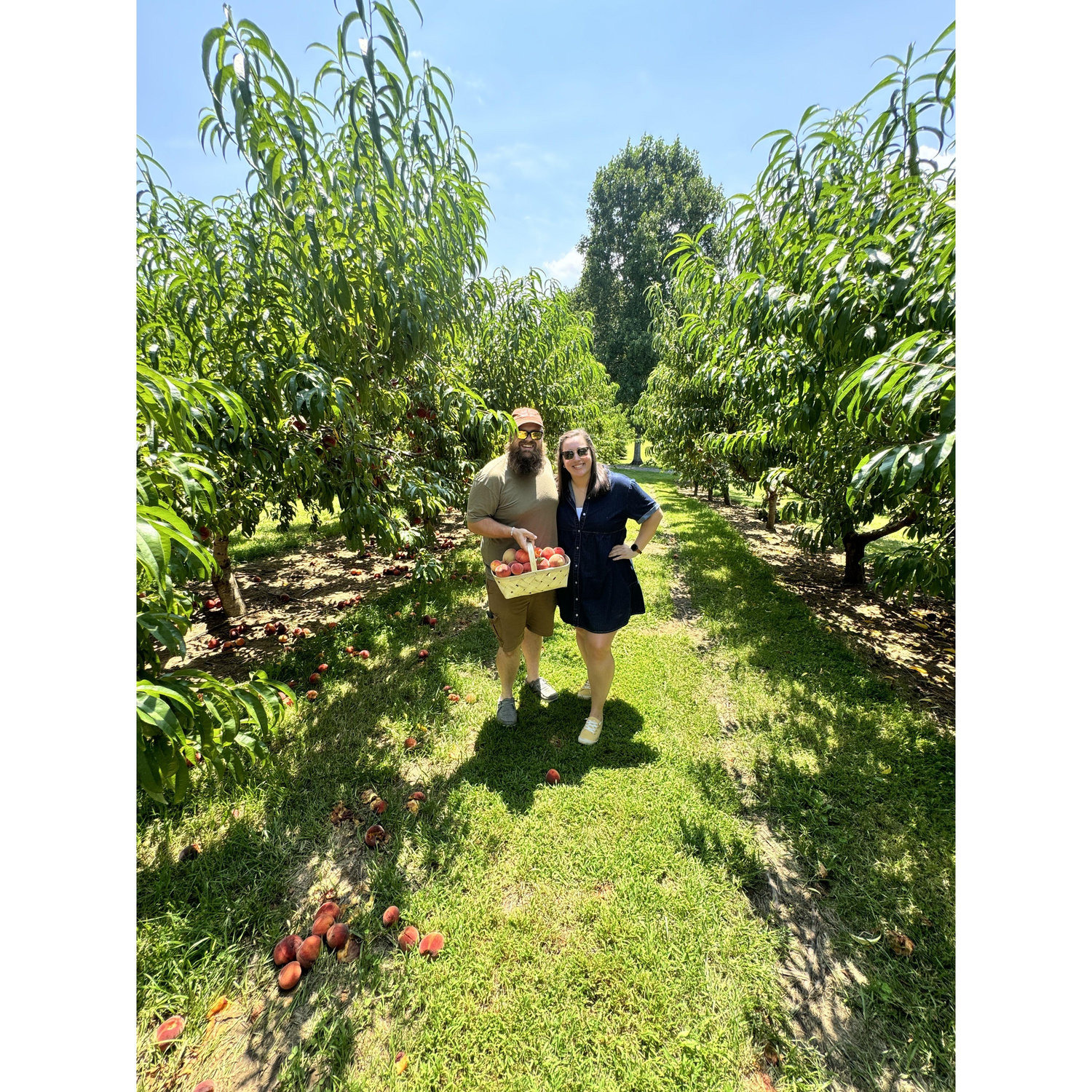 Peach picking where we met 8 months prior.