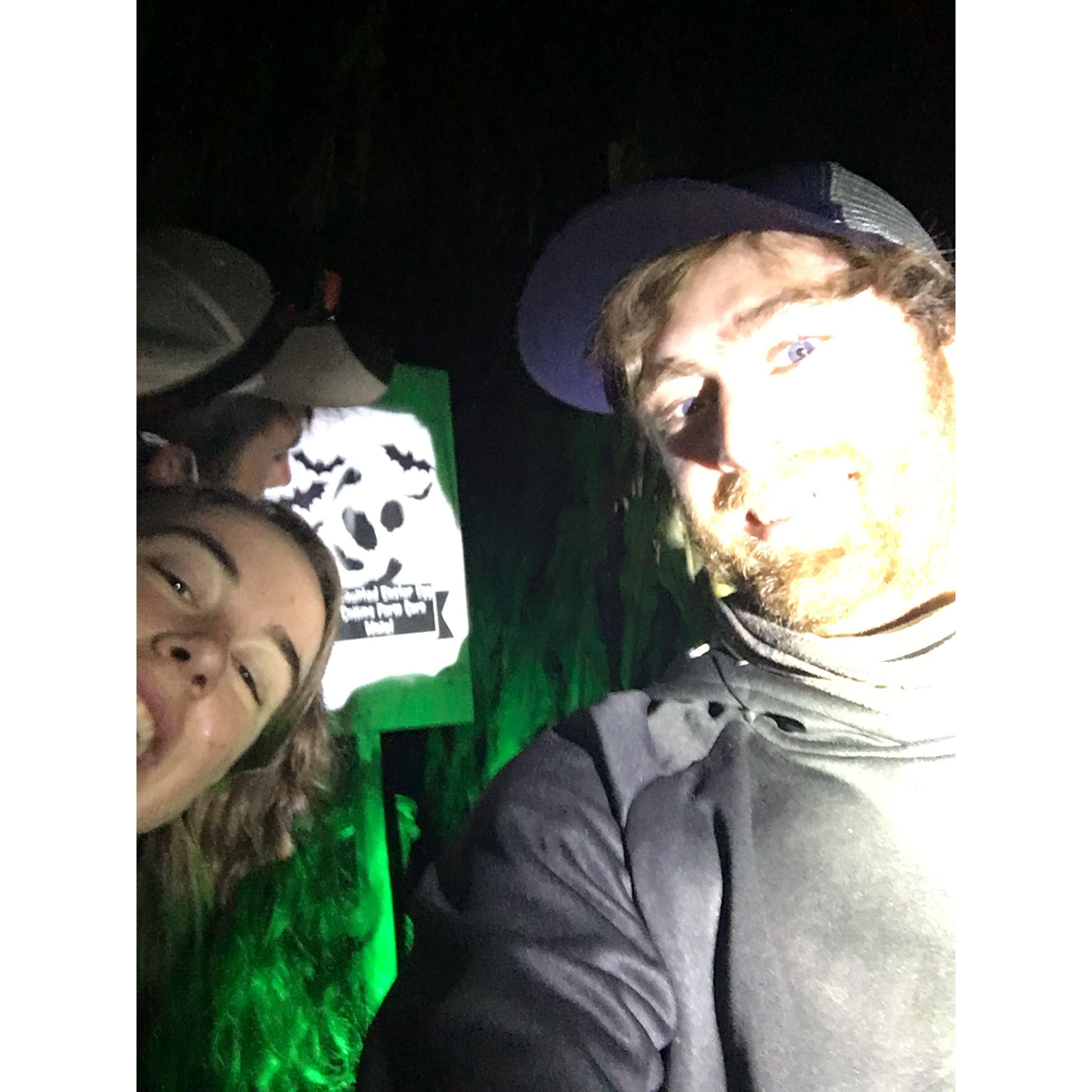 Corn maze.