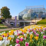 Phipps Conservatory and Botanical Gardens