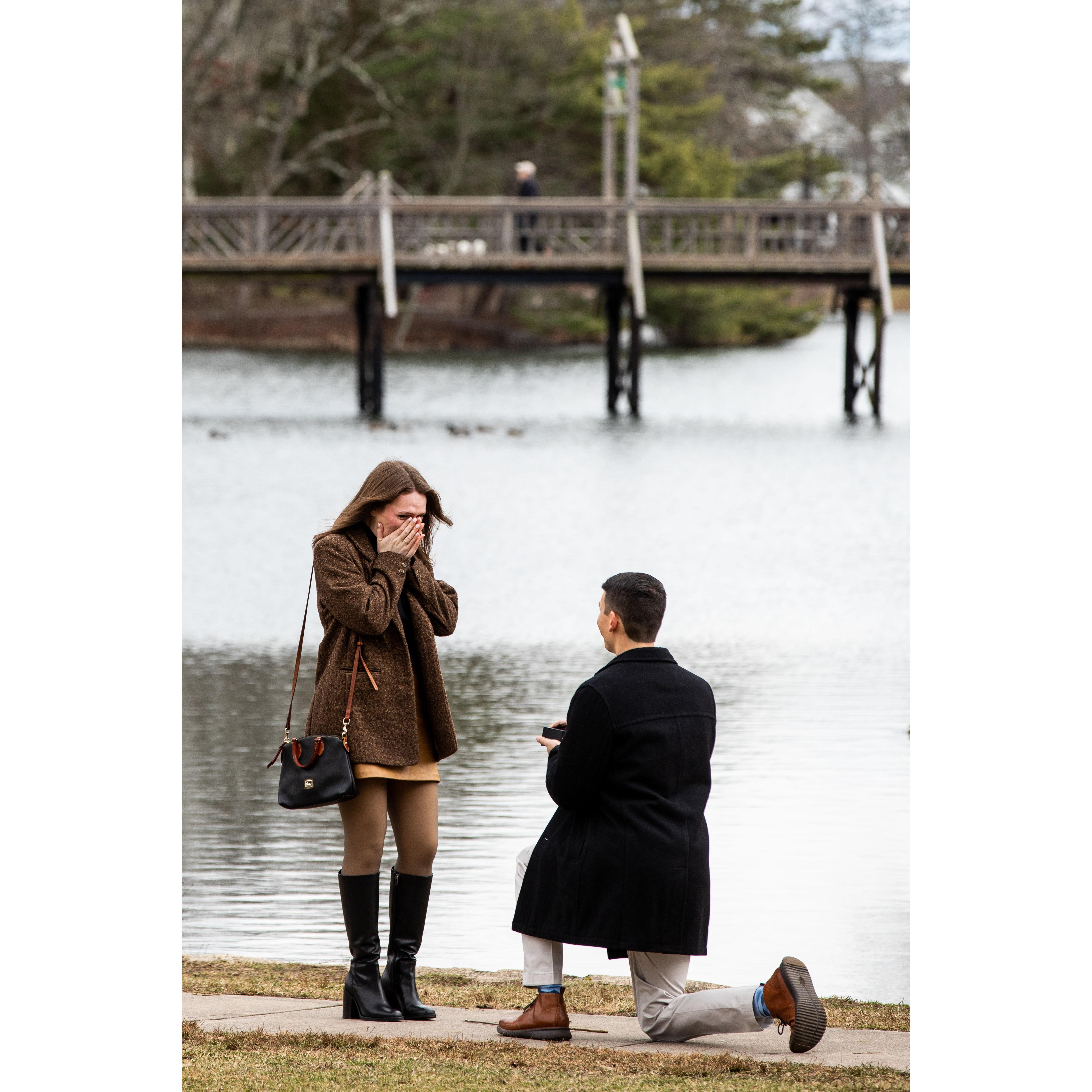 When Alex Proposed!