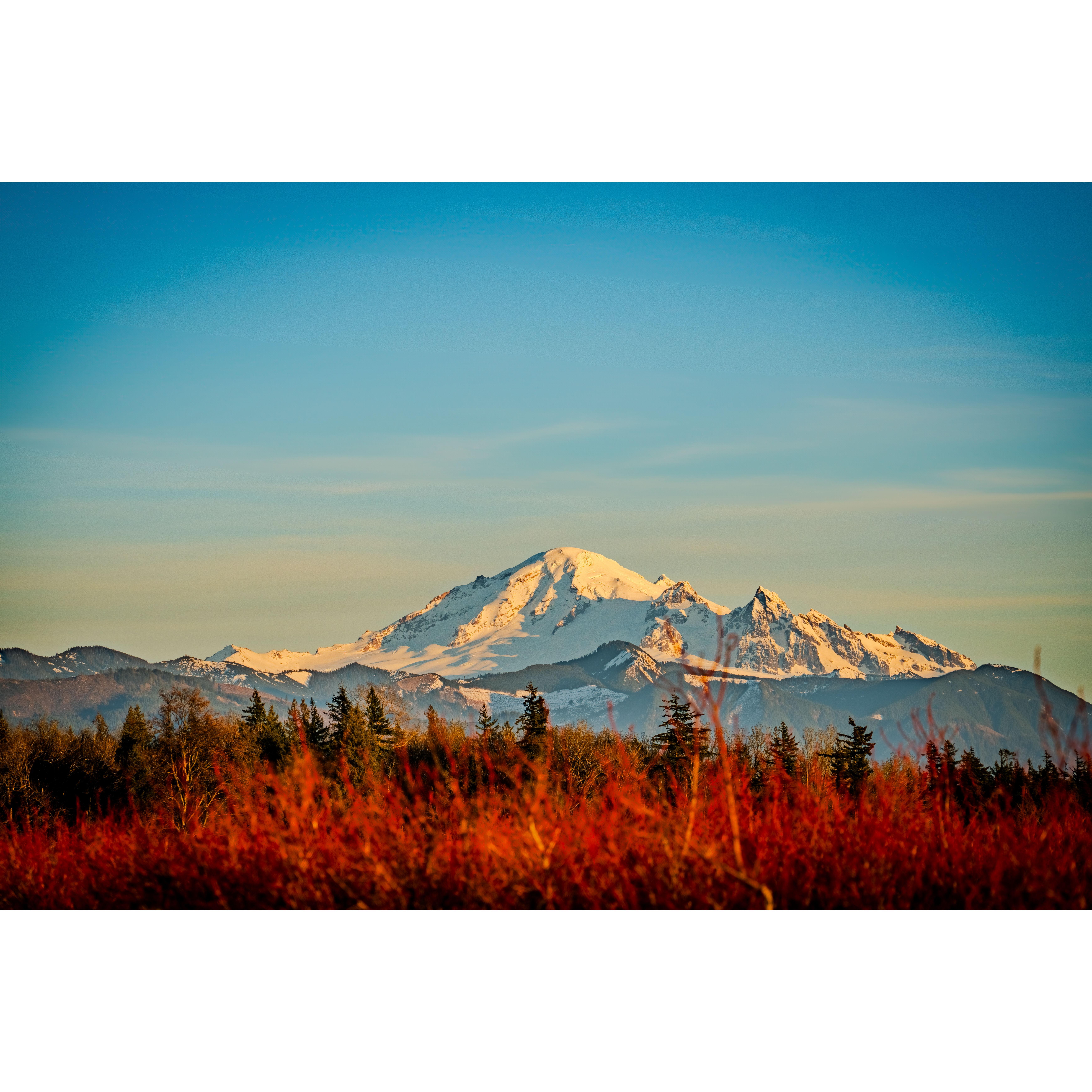 Mount Baker the afternoon that I proposed to Ellie in the berry fields- Wylie