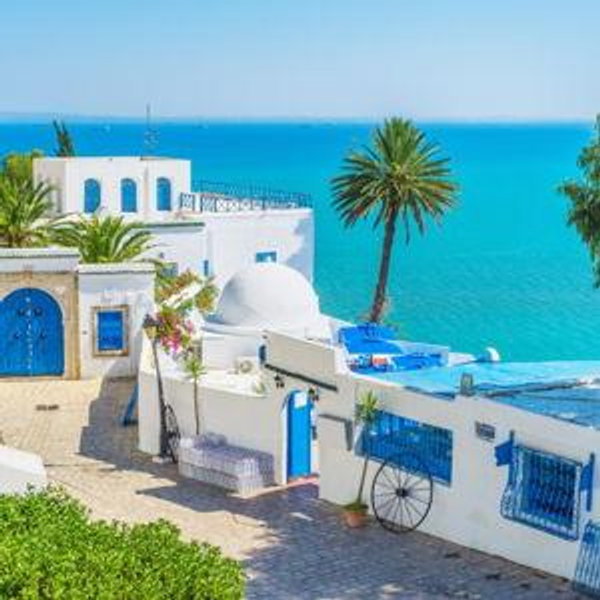 Cruise Excursion- Tunis and Sidi Bou Said in Africa