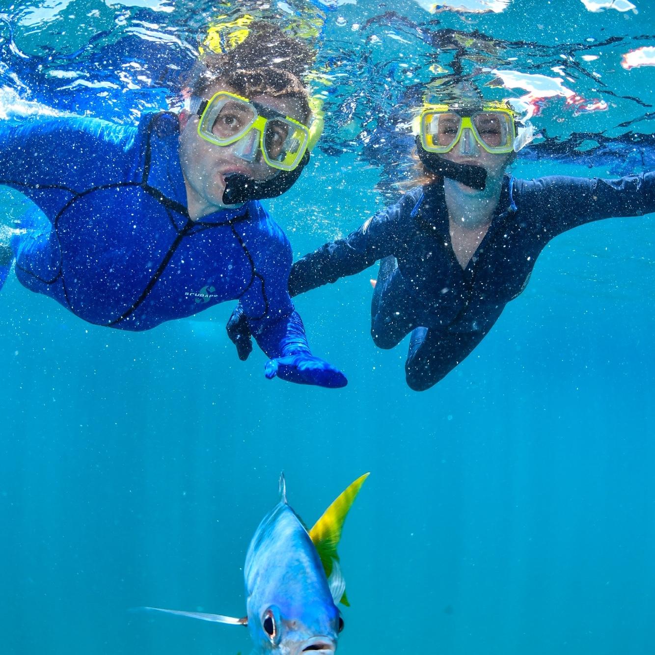 Great Barrier Reef