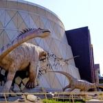 Enter a World of Wonder at The Children's Museum of Indianapolis