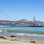 Crissy Field
