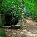 Dumbarton Oaks Park