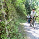 Bellingham Bike Trails