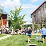Great Frogs Winery