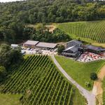Bluemont Vineyard