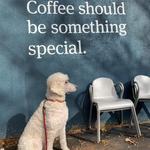 Ceremony Coffee Roasters - Roastery