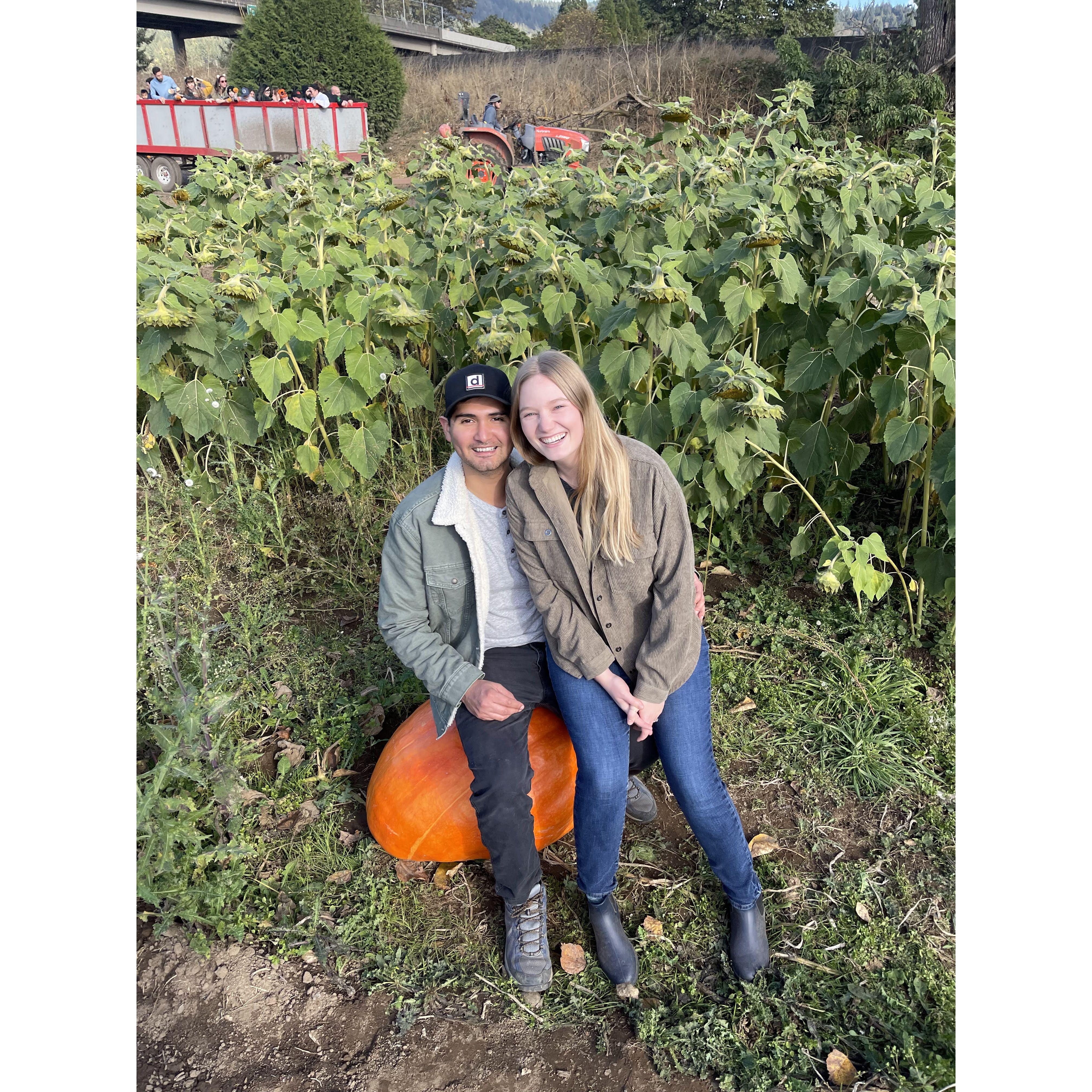 Pumpkin Patch, 2022.