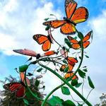 The Yountville Art Walk