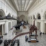 Field Museum