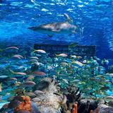 South Carolina Aquarium