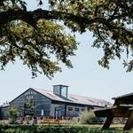 Treaty Oak Distilling