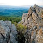 Go for a Hike